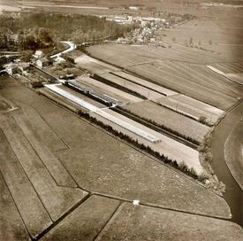 1960 Betriebsgelände einer Gärtnerei zwischen Burger Au und Klev