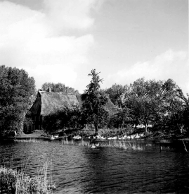 1956 Bauernhaus an der Wilsterau in Averfleth in der Wilstermarsch