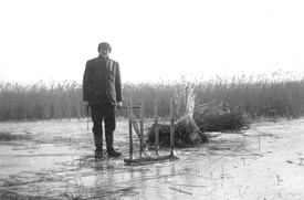 1958 Reeth Ernte mit dem Messerbalken auf der zugefrorenen Brake in der Gemeinde Landscheide.