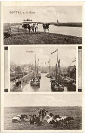 1907 Büttel an der Elbe - Hafenpriel, Vorland
