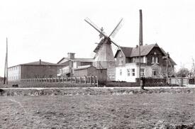 1951 Mühle Fortuna in Hochfeld, Gemeinde Dammfleth