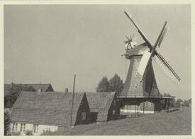 1982 Beidenfleth an der Stör, Windmühle "Hoffnung"