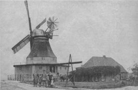 1923 Kornwindmühle in Ecklak-Austrich in der Wilstermarsch
