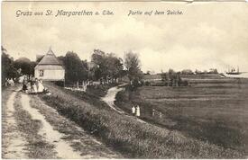 1905 St.Margarethen, Häuser, Gehölze und Gärten auf dem Deich der Elbe