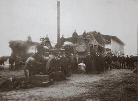 1919 Dreschdampfer bei der Verarbeitung der Getreideernte auf einem Gehöft in Beidenfleth in der Wilstermarsch