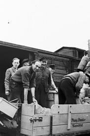 1950 Güterbahnhof Itzehoe - Umschlag von Mobilien und Waren von einem Gespann des Marschhof Dunker in Krummendiek