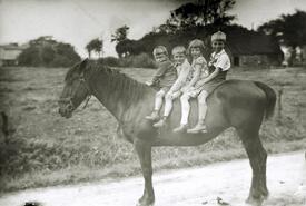 1930 Bauernkinder reiten gemeinsam auf einem Pferd in der Wilstermarsch