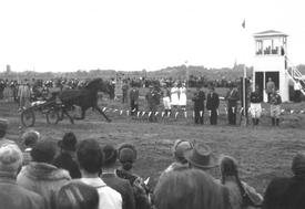 1953 Trab-Rennen in Dammfleth bei Wilster