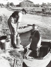 1950 Milchtransport auf dem Bütteler Kanal (Burg-Kudenseer Kanal)
