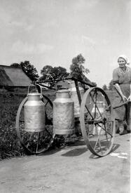 1951 Transport der Milchkannen mit einer Karre