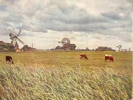 1934 Windkraftturbinen und Kornwindmühle AURORA in Neufeld, Gemeinde Dammfleth in der Wilstermarsch