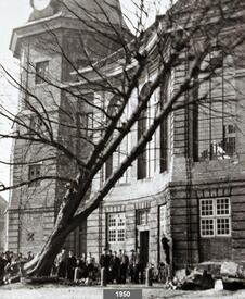 1950 Beseitigung der die Kirche St. Bartholomäus zu Wilster umsäumenden Kastanienbäume