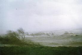 03.01.1976 Orkan Sturmflut am Deich der Elbe bei Brokdorf
