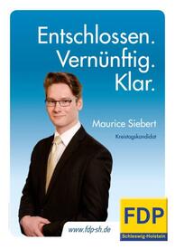 2013 Maurice Siebert - Kreistagskandidat der FDP