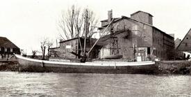 1951 Frachtschiff STURMVOGEL am Getreidespeicher an der Stör in Beidenfleth