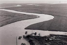1959 Elbe, Vorland vor dem Deich in St. Margarethen, Hafenpriel