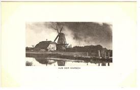 1913 Getreide-Mühle RENATA am Kasenort bei Wilster