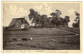 1913 Bauernhöfe in Dammducht im Wewelsflether Außendeich