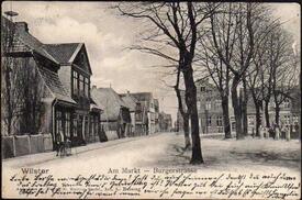 1900 Marktplatz Nordseite, Friedens-Eichen in der Stadt Wilster
