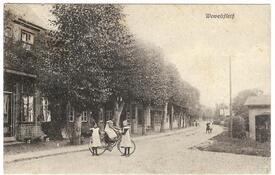 1912 Straße Deichreihe in Wewelsfleth in der Wilstermarsch