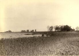 1912 Gehöfte an der Brake in Flethsee in der Wilstermarsch
