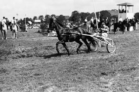 1953 Trab-Rennen in Dammfleth bei Wilster