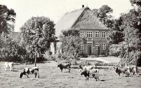 1956 Bauernhof in Wewelsflether Uhrendorf, Wilstermarsch