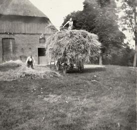 1952 Traktoren lösen die Pferde als Zugtiere ab - Hof Dibbern in Honigfleth, Wilstermarsch