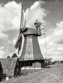 1982 Beidenfleth an der Stör - Windmühle HOFFNUNG