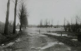 1967 Überflutung des Wewelsflether Außendeich bei Sturmflut