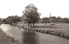1964 Wilsterau am Audeich, Blick auf die Stadt Wilster