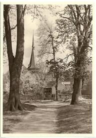 1965 Stadtpark, Blick auf die Kirche St. Bartholomäus zu Wilster