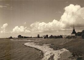 1955 Deich an der Elbe vor Brokdorf