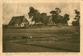 1913 Bauernhöfe im Wewelsflether Außendeich - Dammducht