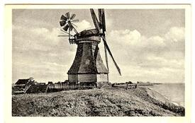 1930 Windmühle auf dem Elbdeich in Brokdorf