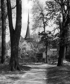 1952 Blick vom Stadtpark auf den Turm der Kirche St. Bartholomäus in der Stadt Wilster