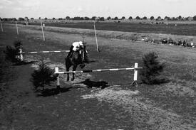 1953 Pferdesport - Jagdrennen in Dammfleth bei Wilster