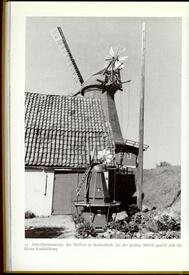Holländer Windmühle in Beidenfleth