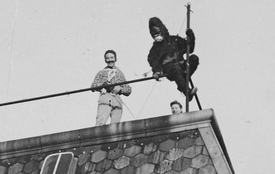 1953 Gorilla auf dem Dach - Werbeaktion beim Obst- und Gemüsegeschäft Güstrau am Markt in der Stadt Wilster