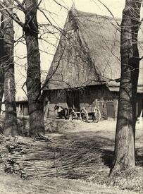 1925 Bandreißer - ein Beruf in den Elbmarschen. Frisch geerntete und gebündelte Weidenruten bei einem Gehöft in der Seestermüher Marsch