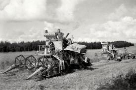 1955 Getreideernte mit Mähdreschern