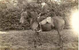 1935 Junger Bauer auf seinem Pferd in der Wilstermarsch