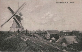 1920 Windmühle auf dem Deich der Elbe bei Brokdorf