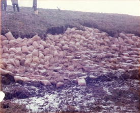 1976 Sturmflut am 03. Januar - am Tag danach
Situation am Deich der Elbe bei Hollerwettern
provisorische Böschungssicherungen