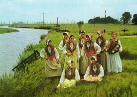 Tracht der Wilstermarsch 1980 Gruppe der Landfrauen