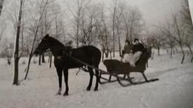 1947 Transportmittel  in der Wilstermarsch bei Eis und Schnee - Pferdeschlitten