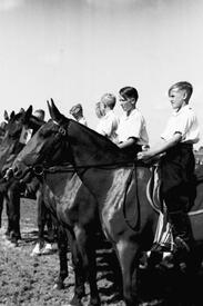 1953 Pferdesport in Dammfleth - Siegerehrungen