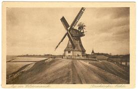 1925 Windmühle auf dem Deich der Elbe bei Brokdorf
