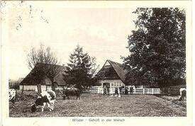 1920 Gehöft in der Wilstermarsch – ein Husmannshus mit der zentralen Diele