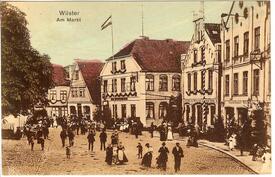 1901 Marktplatz Westseite - Tierschau in der Stadt Wilster